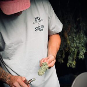 007: 86 Genetics x OutcastsHNL